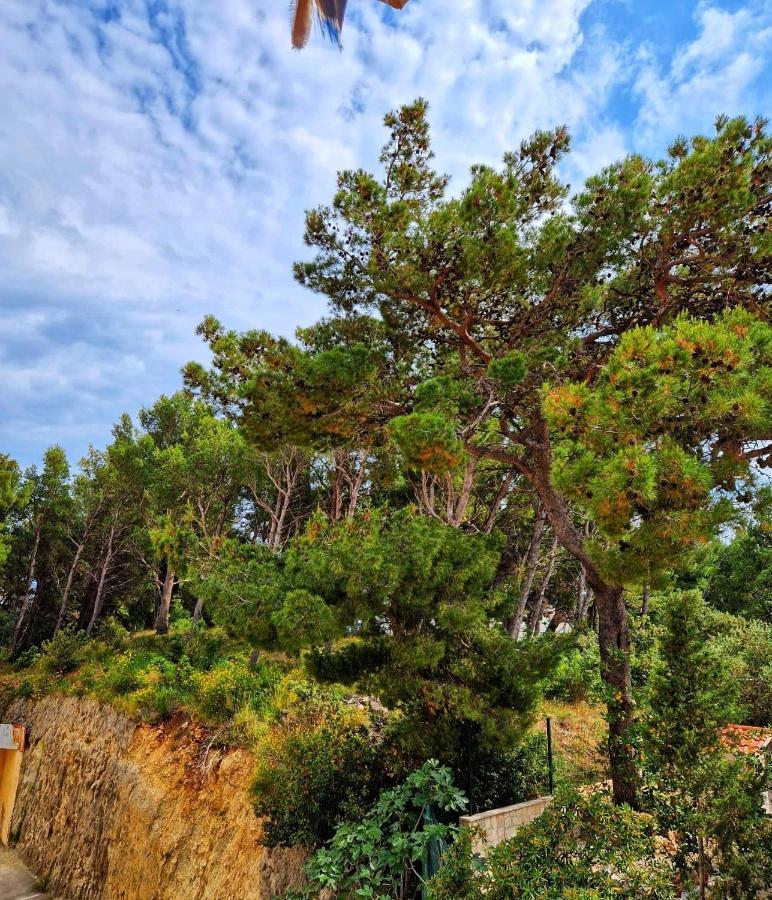 Apartman Mar18 Makarska Ngoại thất bức ảnh